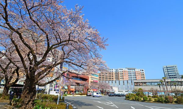 東京都国立市の不用品回収／即日対応の格安業者／口コミ高評価