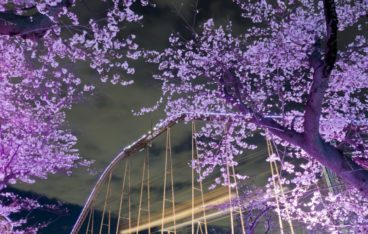 東京都稲城市のおすすめゴミ回収業者ランキング｜料金相場と安く利用するコツ