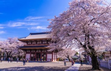 大田区のおすすめゴミ回収業者ランキング｜料金相場と安く利用するコツ