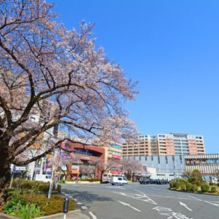 国立市のおすすめ片づけ代行業者ランキング|料金相場と安く利用するコツ