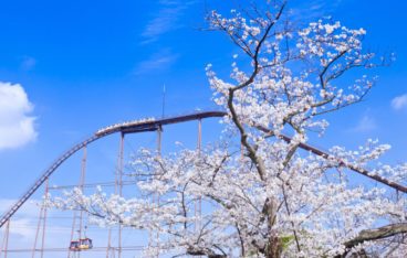 東京都稲城市のおすすめ片づけ代行業者ランキング｜料金相場と安く利用するコツ