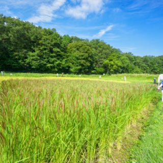 西多摩郡瑞穂町のおすすめ片づけ代行業者ランキング|料金相場と安く利用するコツ