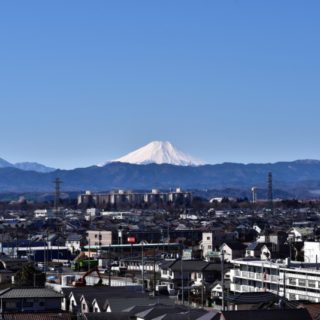 武蔵村山市のおすすめ部屋片づけ代行業者ランキング|料金相場と安く利用するコツ