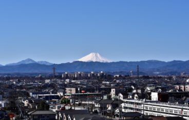 武蔵村山市のおすすめ部屋片づけ代行業者ランキング｜料金相場と安く利用するコツ