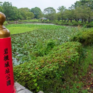 さいたま市岩槻区のおすすめ部屋片づけ代行業者ランキング|料金相場と安く利用するコツ