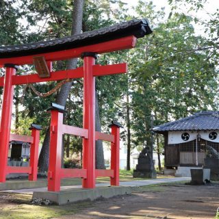 蓮田市のおすすめ部屋片づけ代行業者ランキング|料金相場と安く利用するコツ