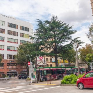杉並区のおすすめ廃品回収業者10社口コミ高評価人気ランキング