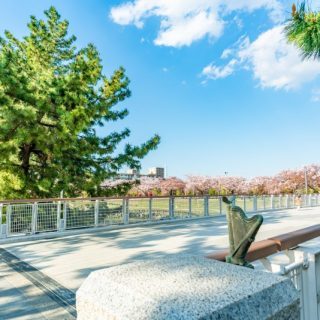さいたま市でおすすめの廃品回収業者人気ランキング10選