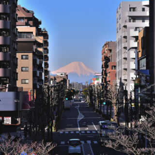 東久留米市アイキャッチ
