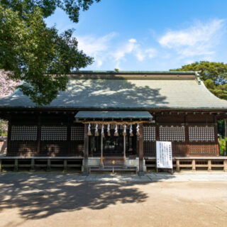 北本市アイキャッチ