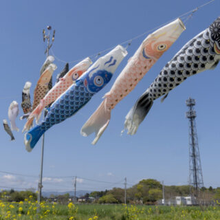 鶴ヶ島市アイキャッチ