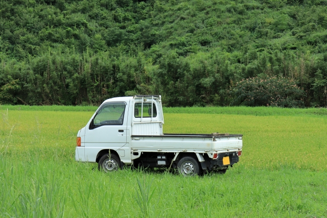 配送が危険なリチウムイオン電池はどうやって回収しているの？