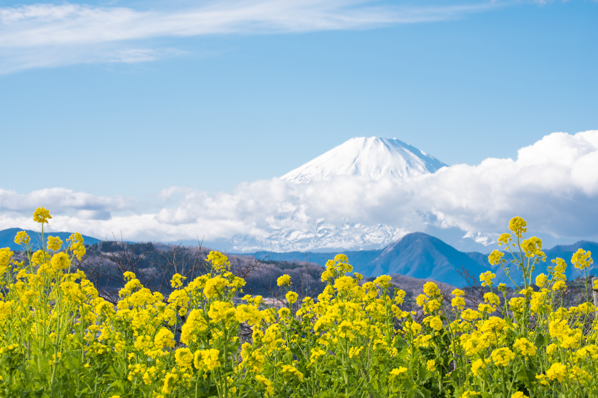 中郡二宮町の粗大ゴミの出し方は？基本ルールや捨てられないものもチェック