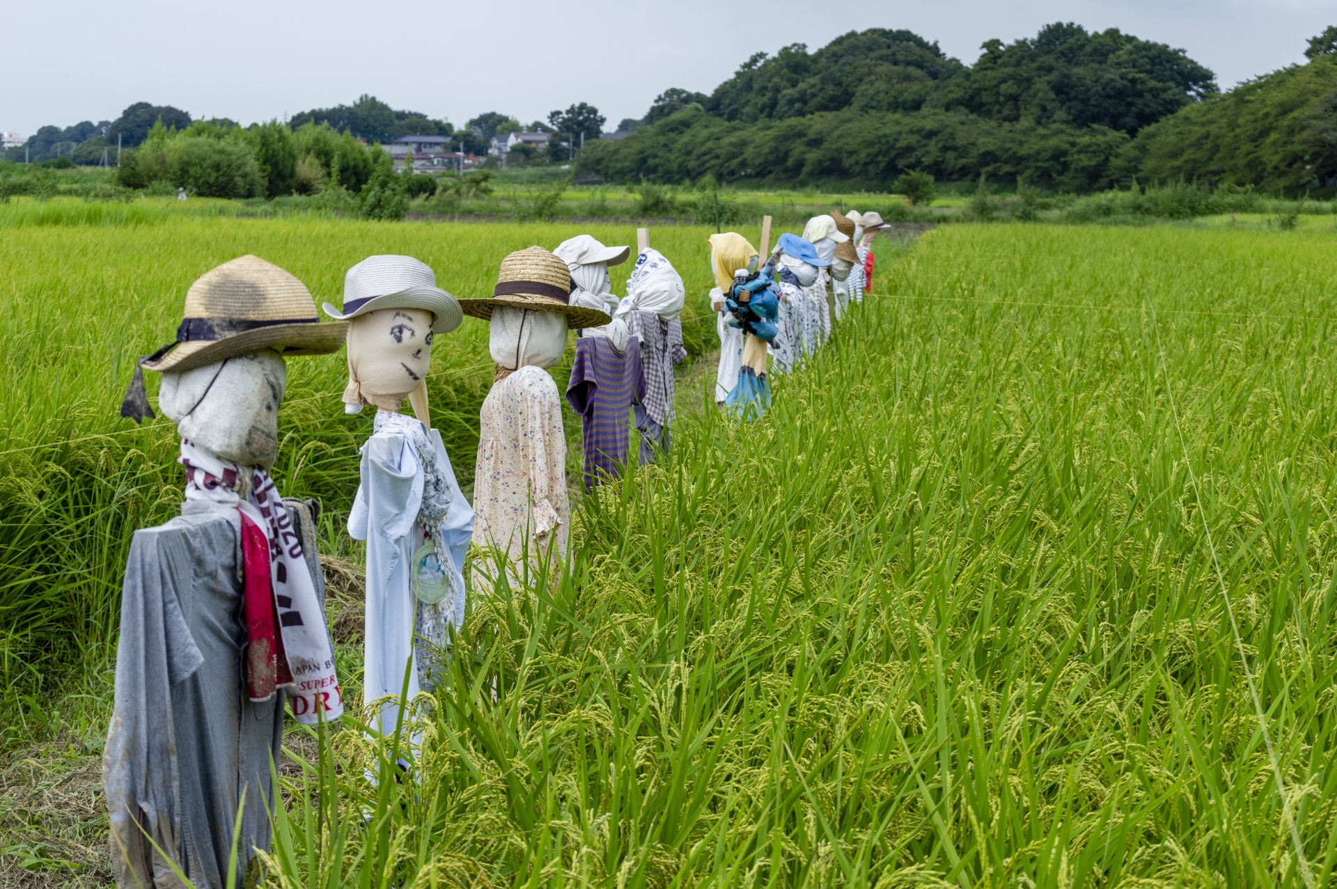 さいたま市見沼区の粗大ゴミの出し方！自治体の収集の利用法やポイントとは