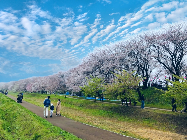 幸手市独自のゴミ事情