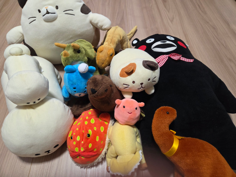 捨てられないぬいぐるみを捨てる運気を解説！後悔のない処分をしよう！