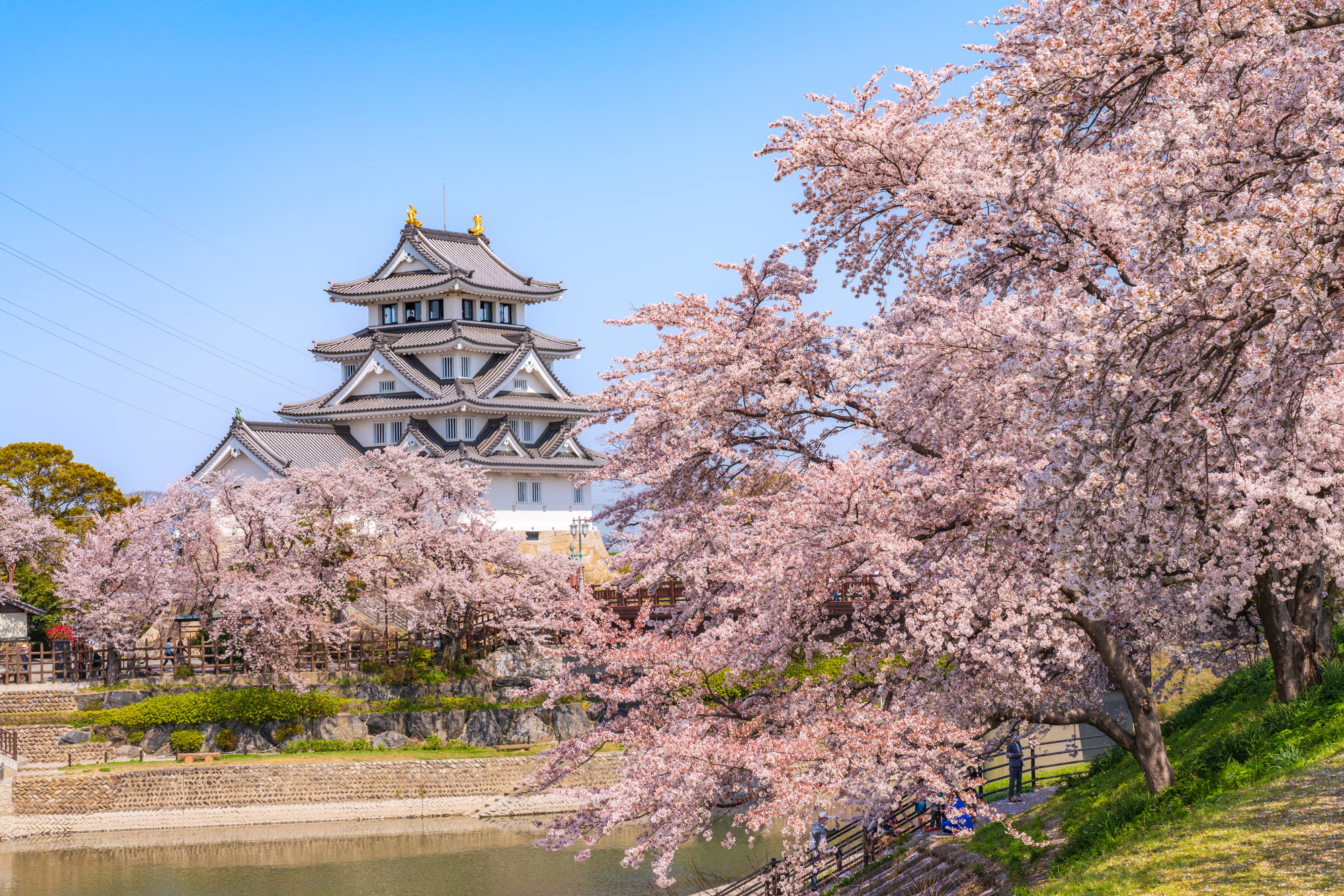 大垣市の粗大ゴミ（大型ごみ）出し方解説！戸別回収・持ち込みの手順は？