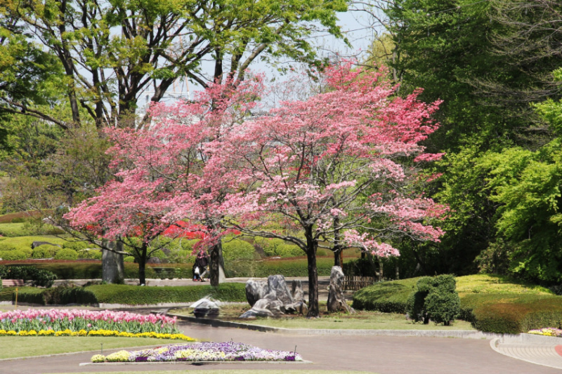 川口市の粗大ゴミの出し方！戸別回収や持ち込みの手順・料金も紹介